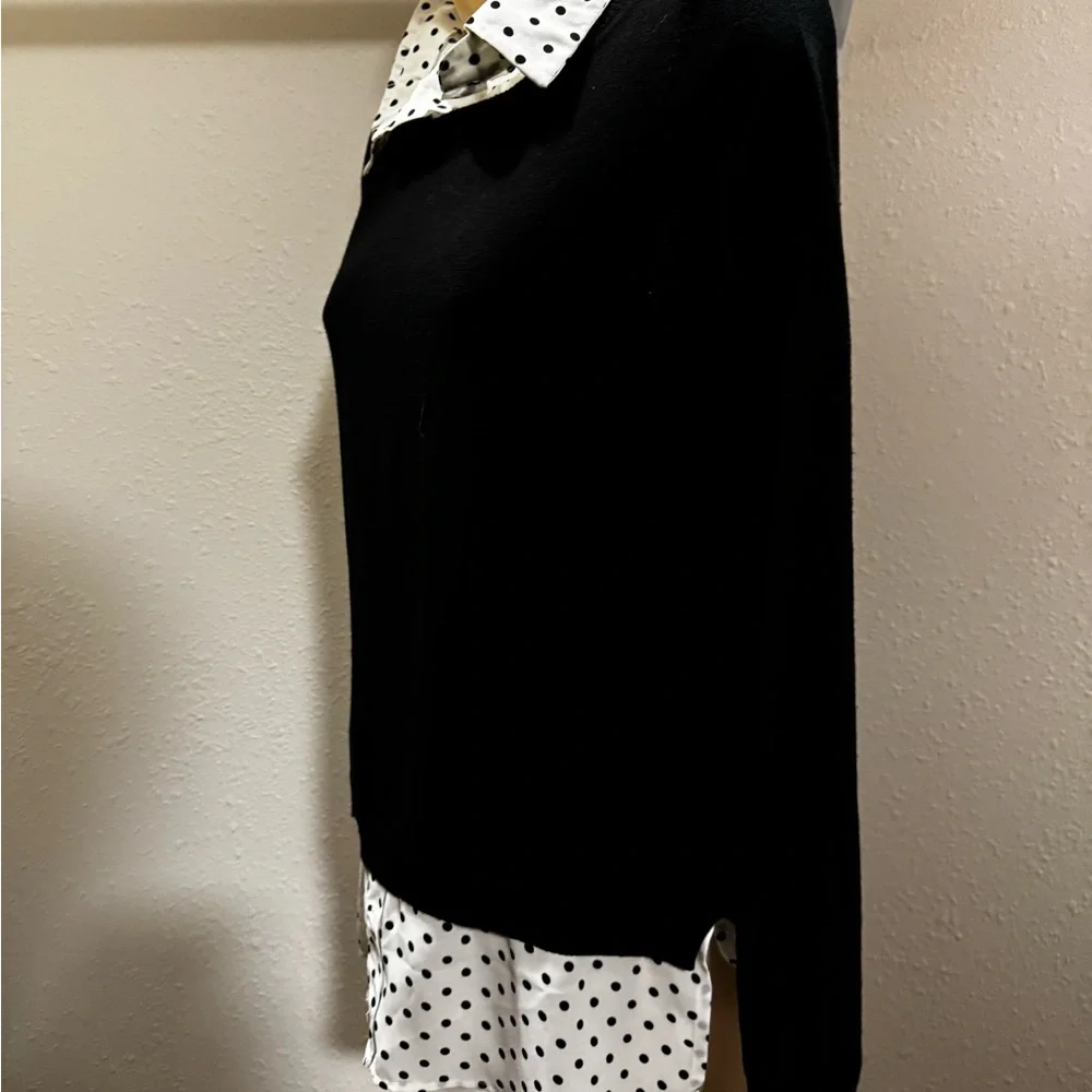 Adrianna Pappell Polkadot Sweater Blouse - Picture 2 of 4
